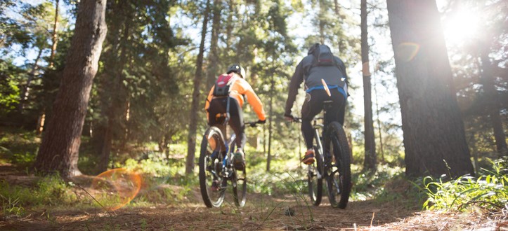 People Biking in the Woods Cropped 2